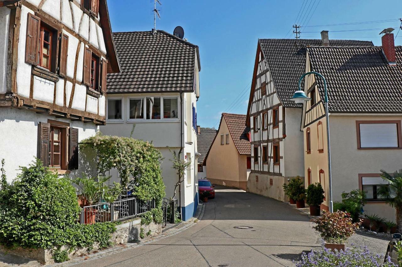 Mariposa Apartamento Efringen Kirchen Bagian luar foto