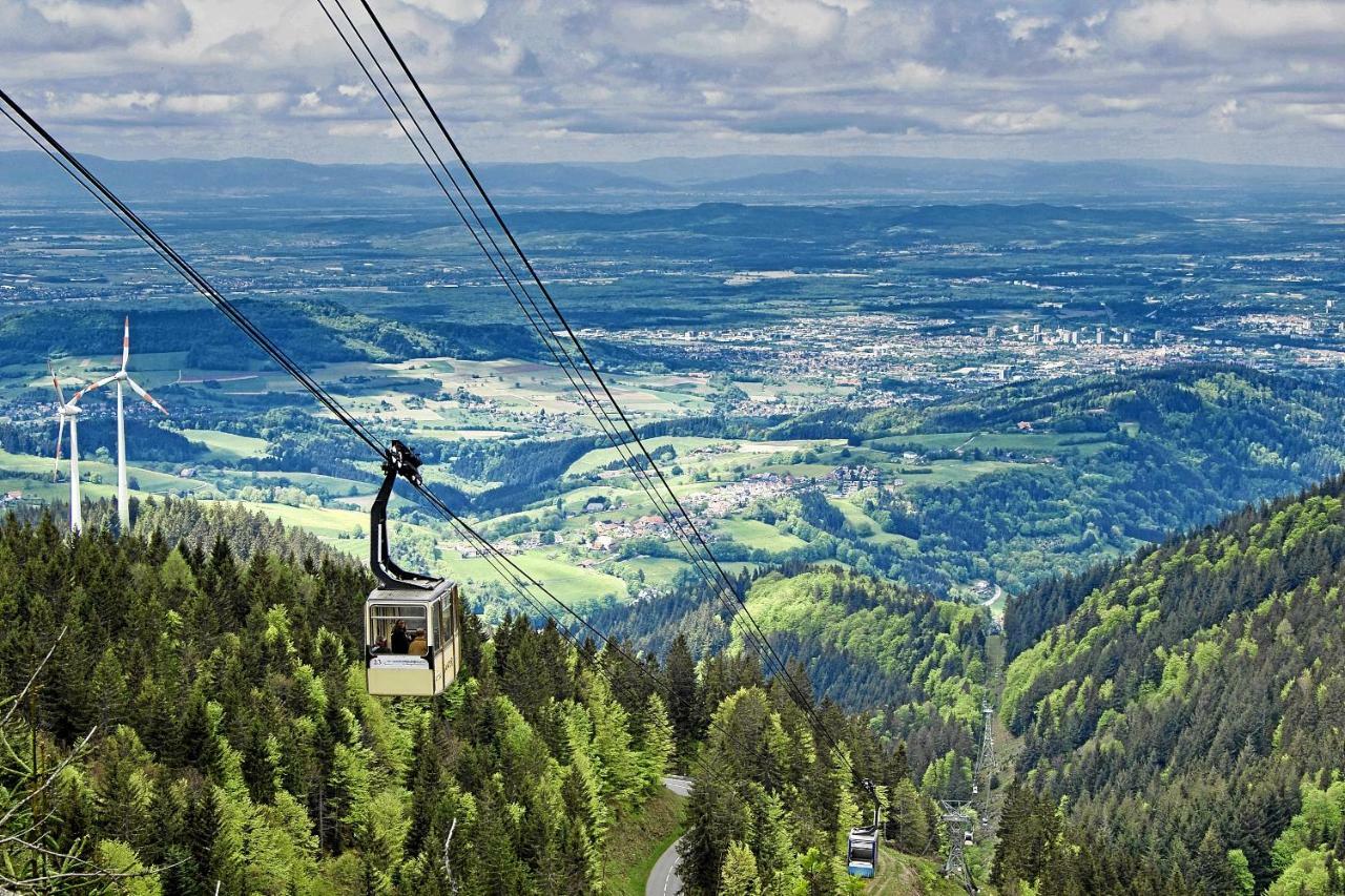 Mariposa Apartamento Efringen Kirchen Bagian luar foto