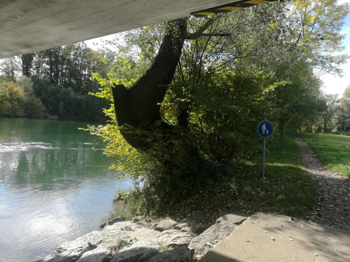 Mariposa Apartamento Efringen Kirchen Bagian luar foto